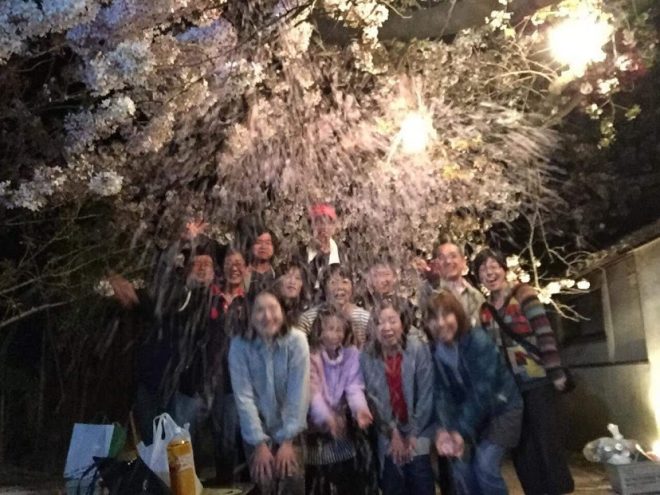 今年もみんなで桜を