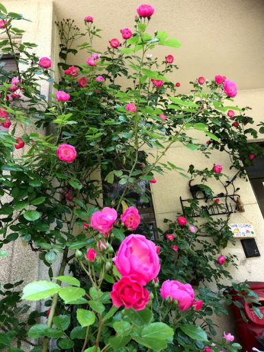 夫がウキウキの理由