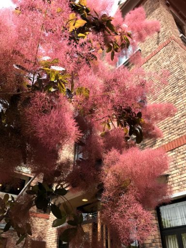 気がつけば28年