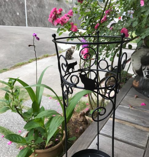 お庭がすっきり？