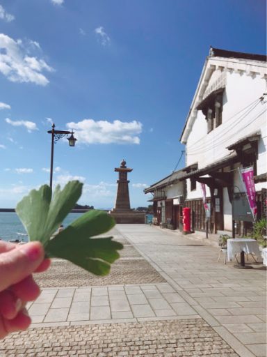 台風去り、芸術のまち