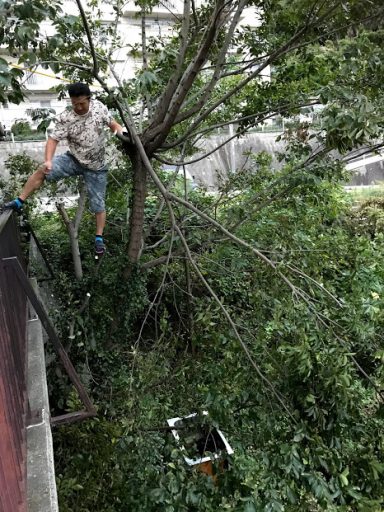 すぐ日が暮れる！