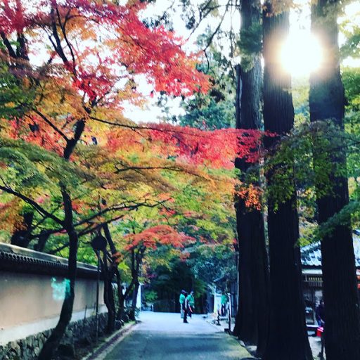 移りゆく季節に