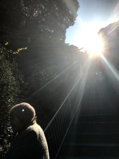 休日は墓参りへ