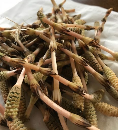 今年度最後の日～春