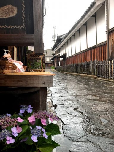 驚きのチイチイいか