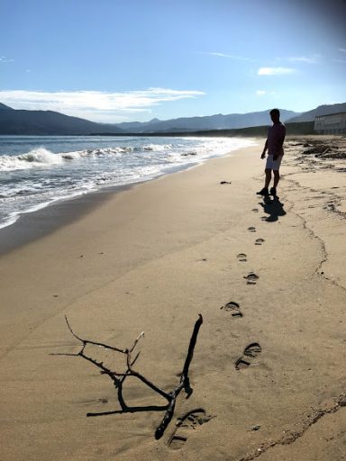 唐津を訪ねて～②