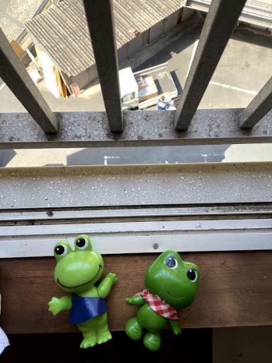 母の引っ越し、からの出来事