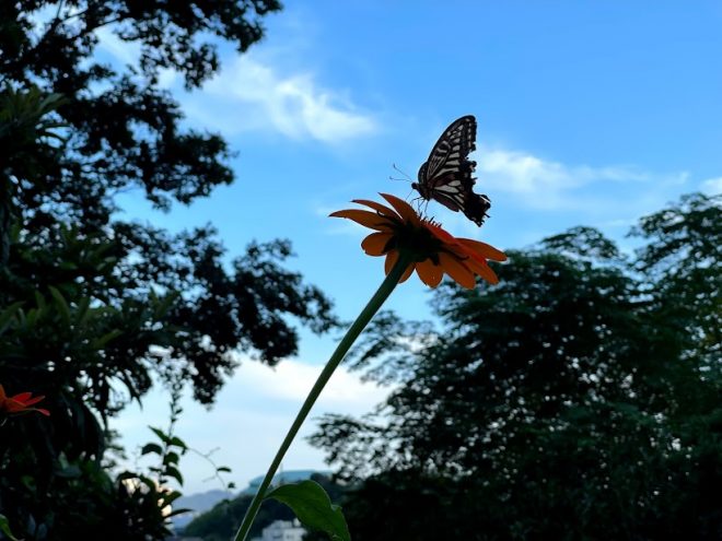 応援してくれたあなたに